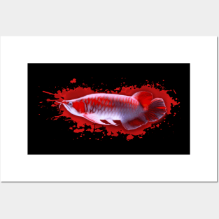 Super Red Arowana Posters and Art